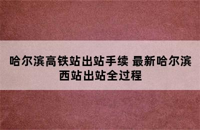 哈尔滨高铁站出站手续 最新哈尔滨西站出站全过程